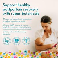 Fruitful New Mum - Postnatal Formula